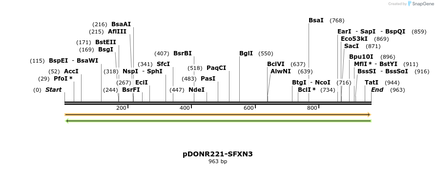 253936_map