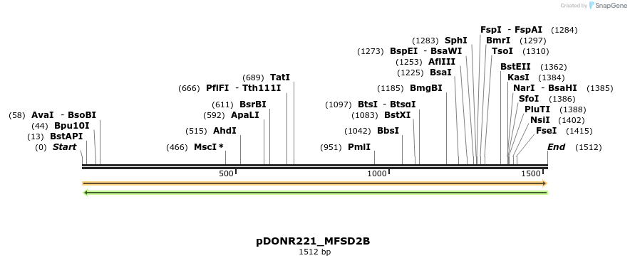 253938_map