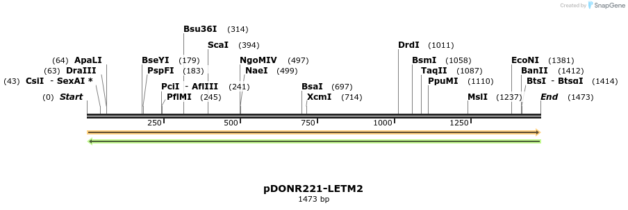 253940_map