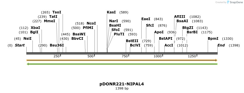 253942_map