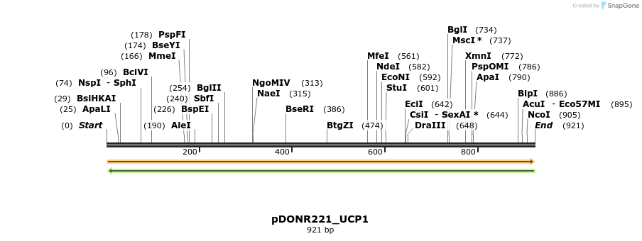 253948_map