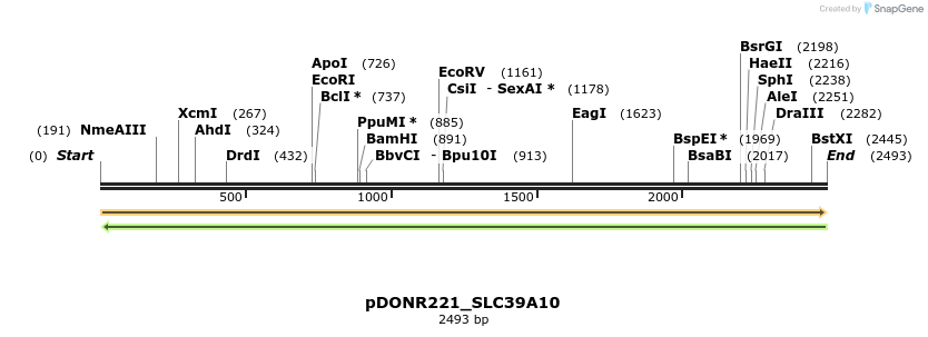 253950_map