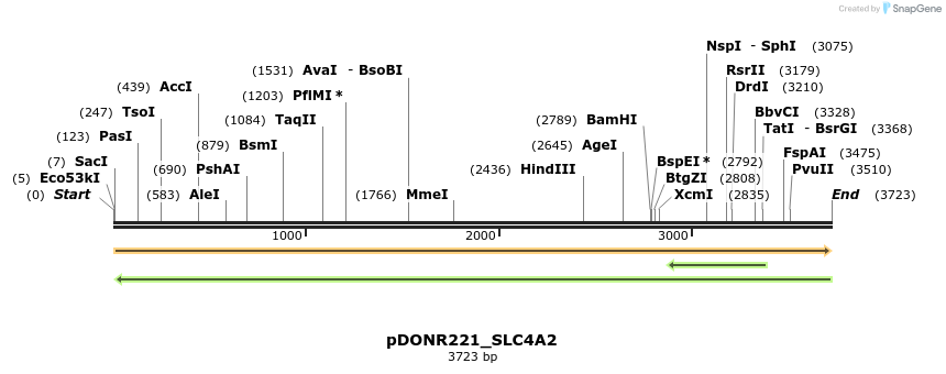 253952_map