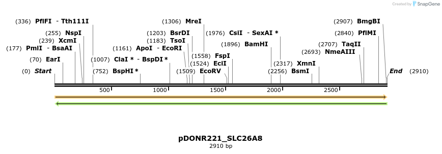 253954_map