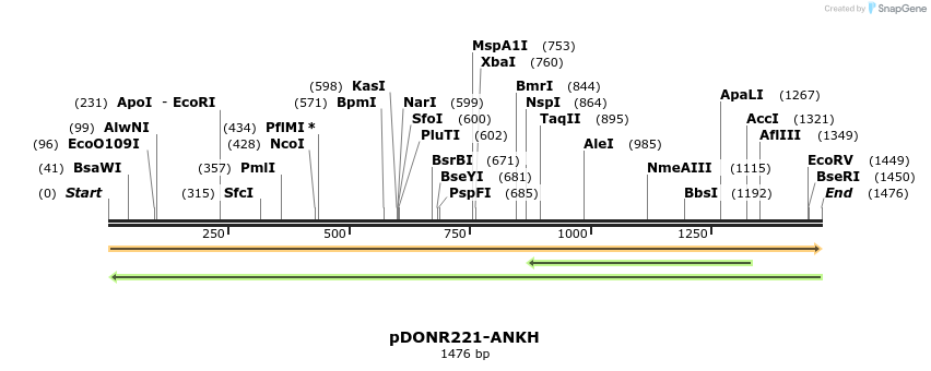 253956_map