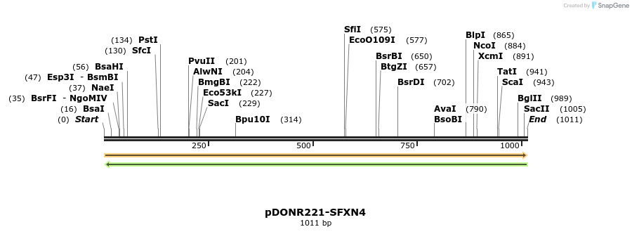 253960_map