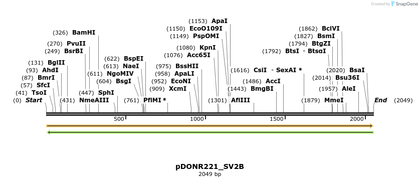 253962_map