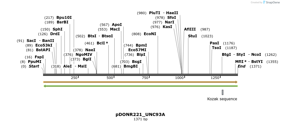 253964_map