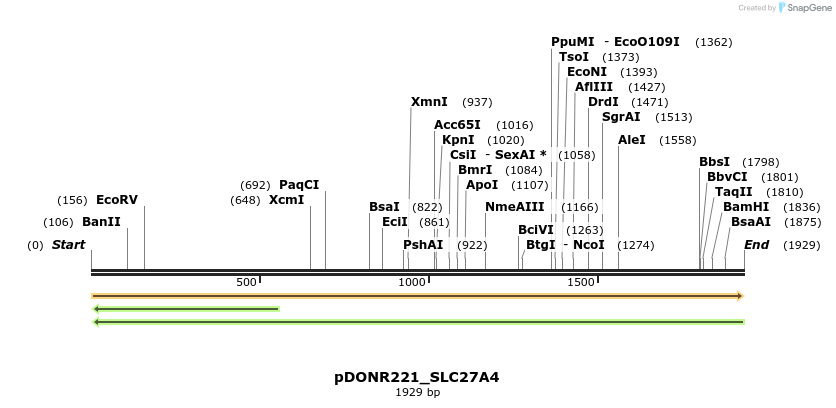 253966_map