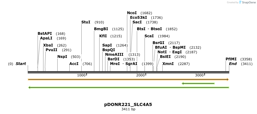 253968_map