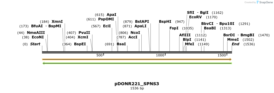 253970_map