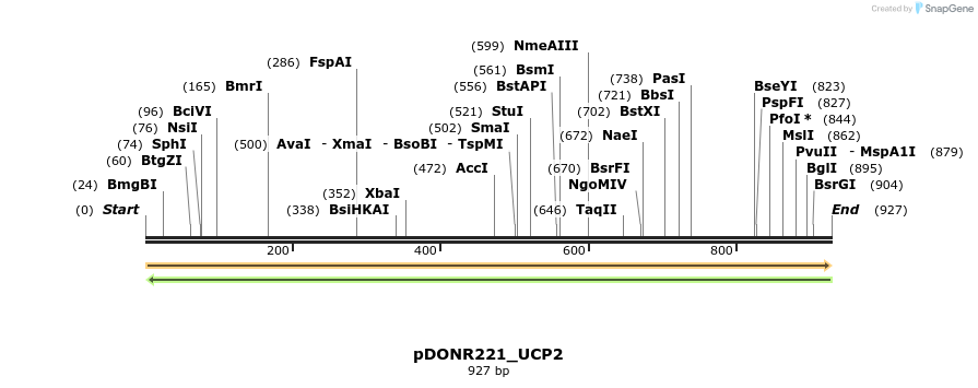 253972_map