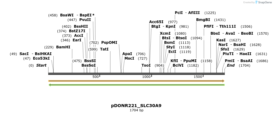 253974_map