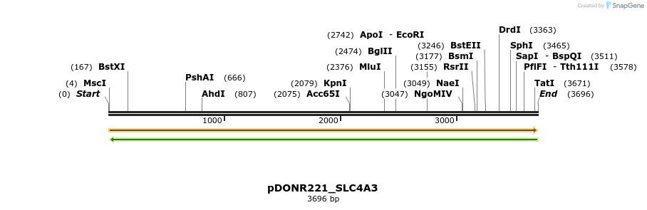 253976_map
