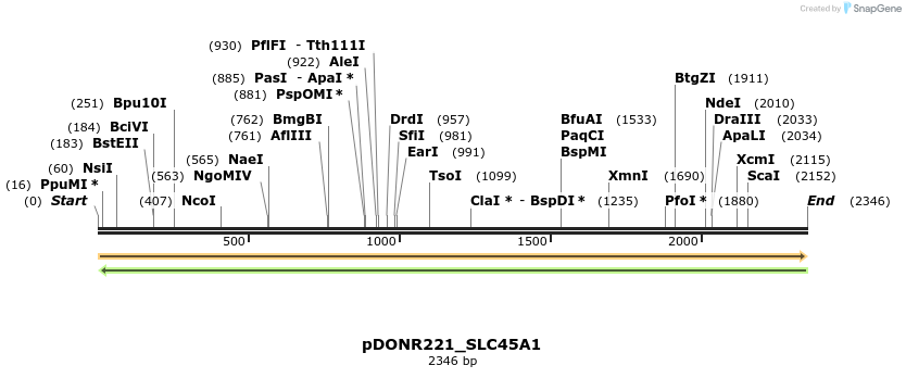 253978_map