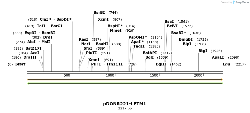253980_map