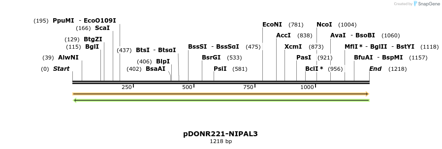 253982_map