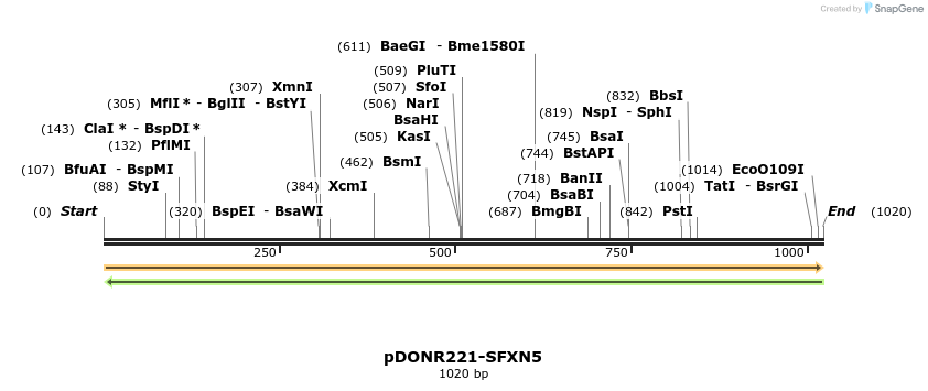 253984_map