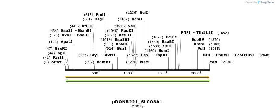 253986_map