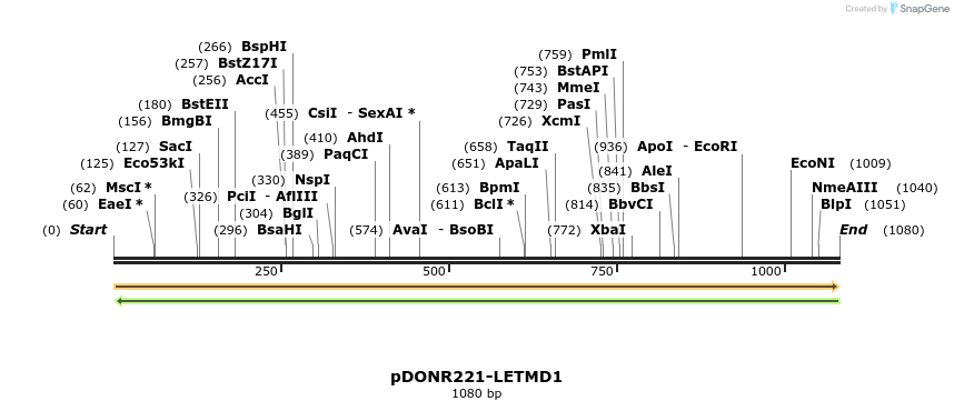 253988_map