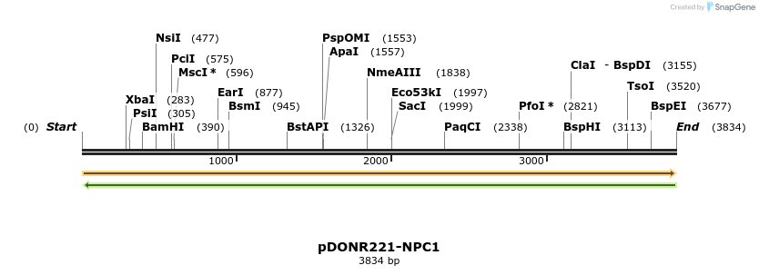 253990_map
