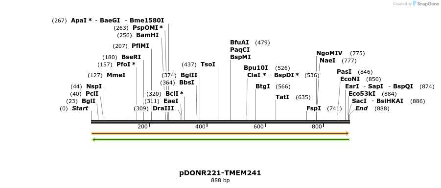 253992_map