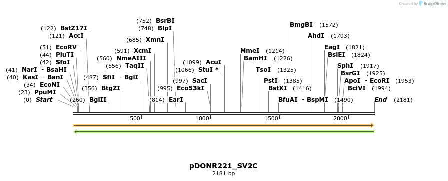 253994_map