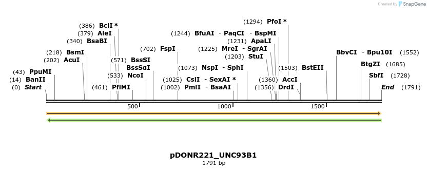 253996_map