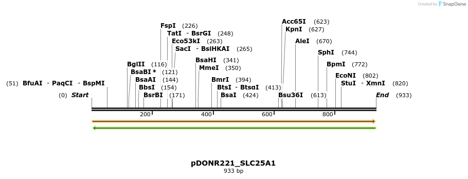 253998_map