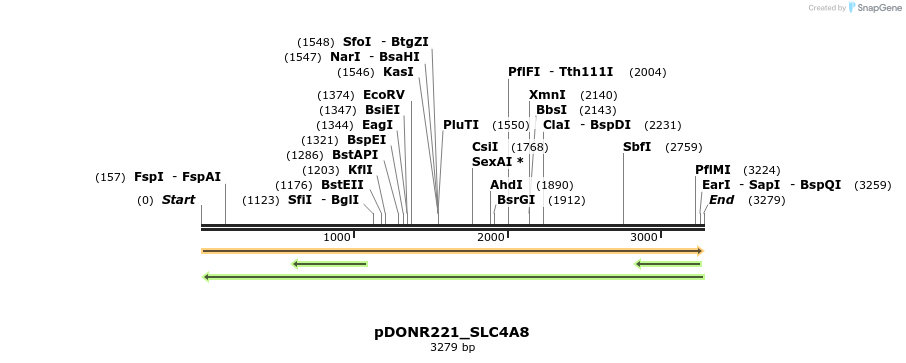 254000_map