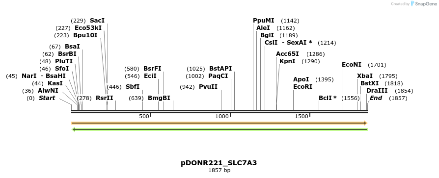254002_map