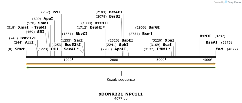254006_map