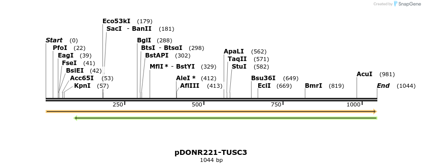 254008_map