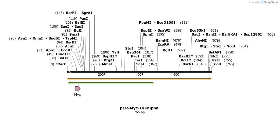 25401_map