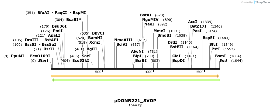 254010_map