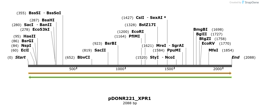254012_map