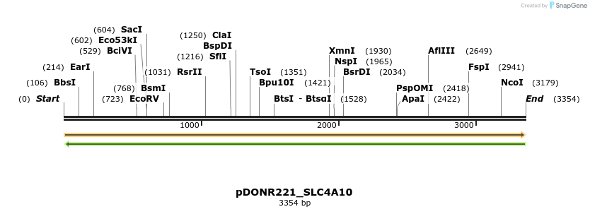 254016_map