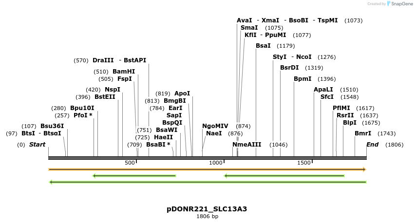 254018_map