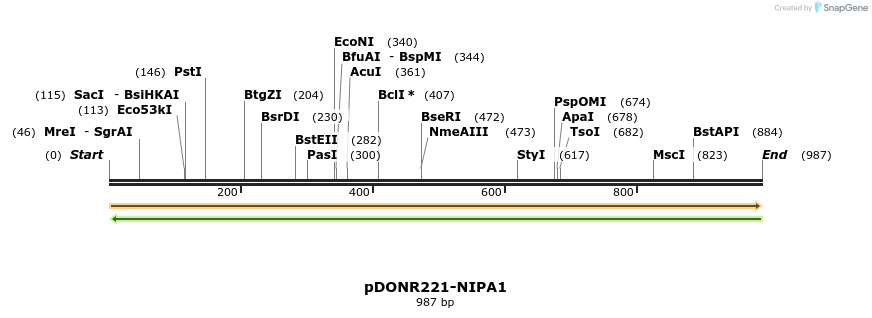 254020_map
