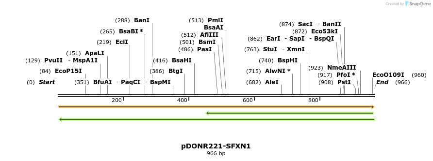 254022_map