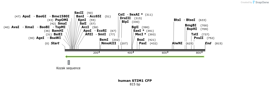 25403_map