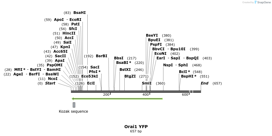 25404_map
