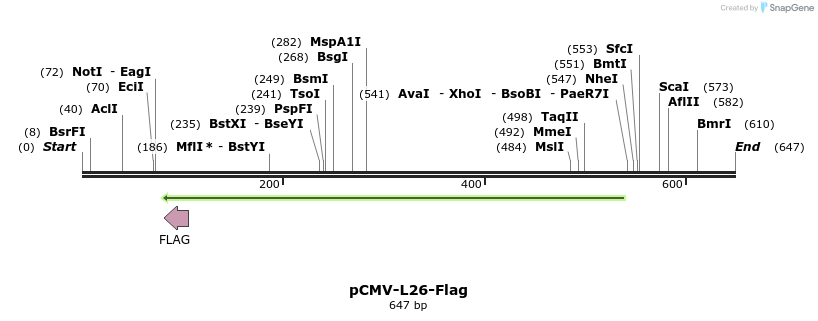 25406_map
