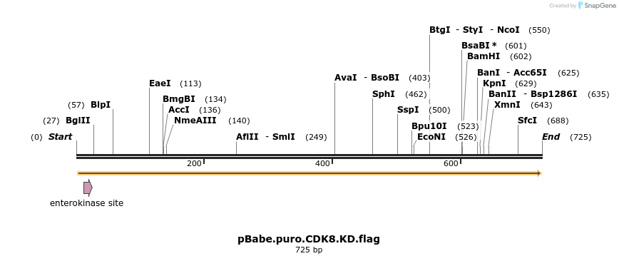25407_map