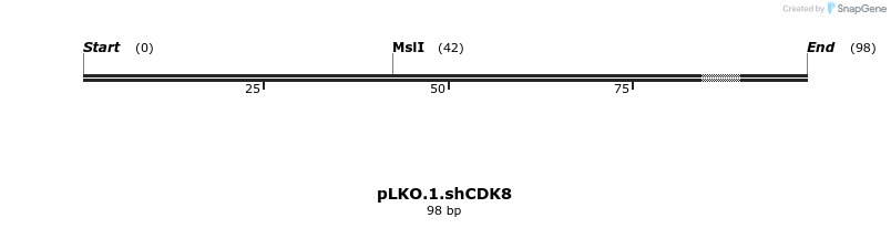25408_map