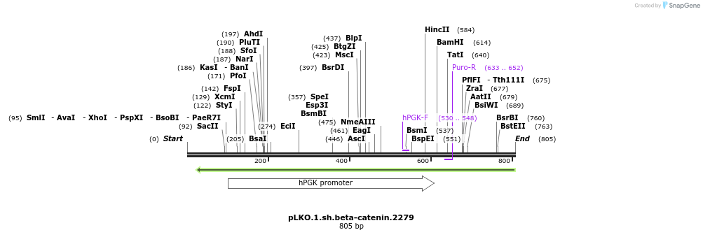 25411_map