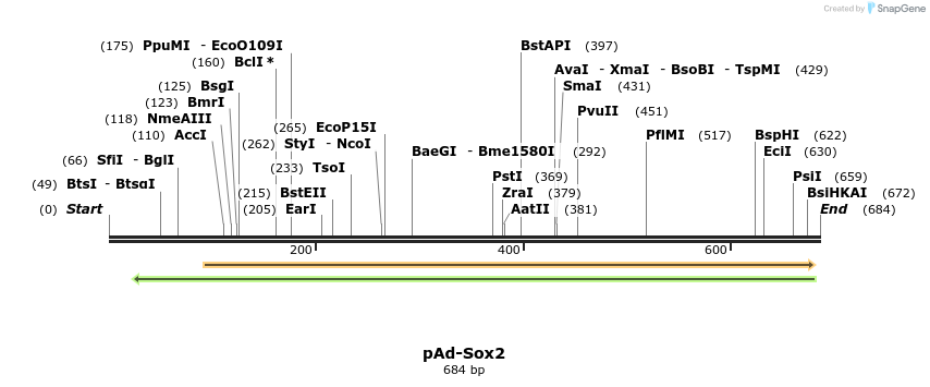 25413_map