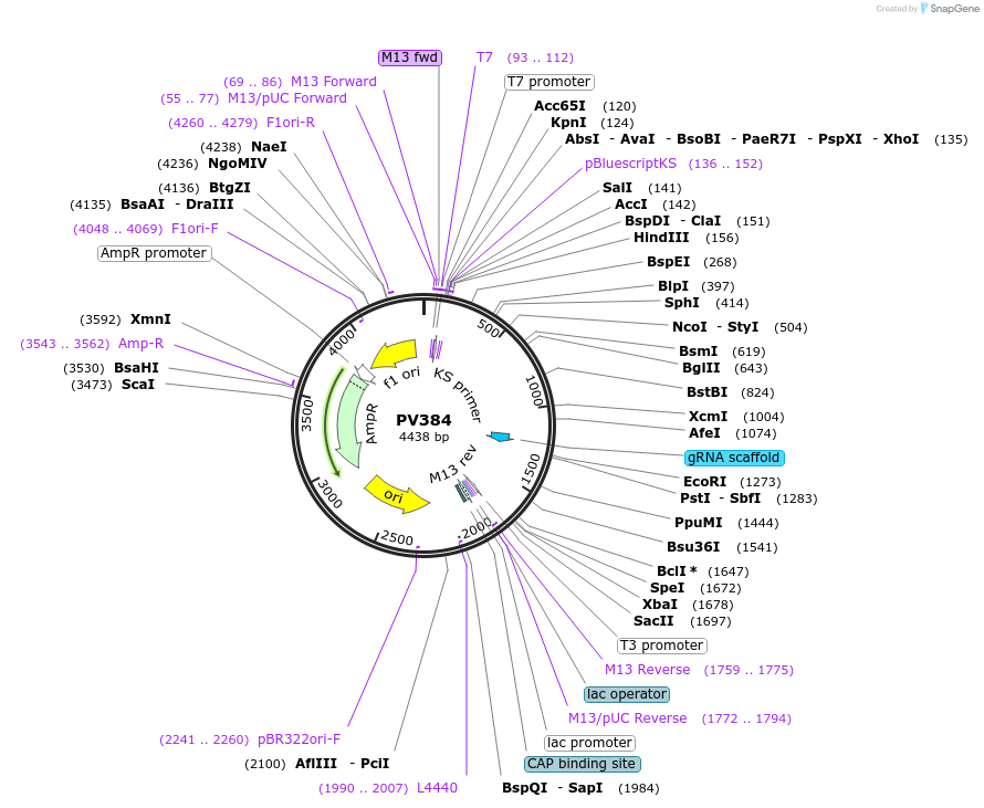 254132_map