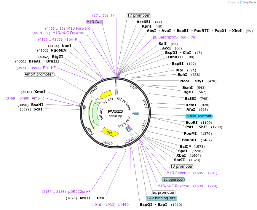 254136_map
