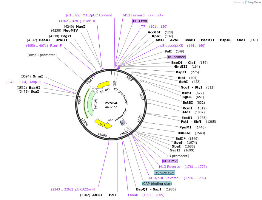 254138_map